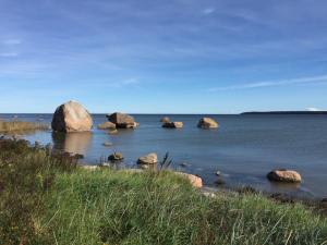 estonia-northern-park