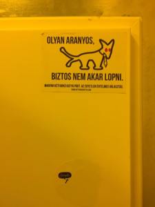 16864076_10155067638049100_233167655319592178_n