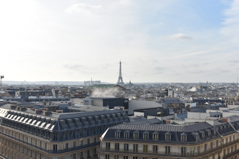 20190116_125155610_iOS - Copy